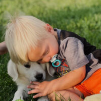 Toddler socializing with new English Golden Retriever puppy